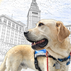 Coloring Book Donations